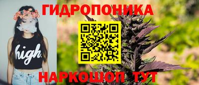 индика Бузулук