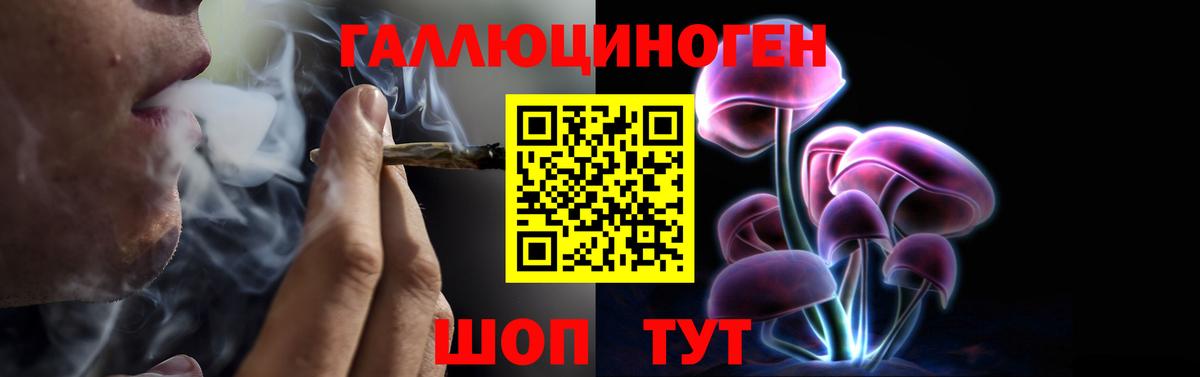 Псилоцибиновые грибы Cubensis Крымск